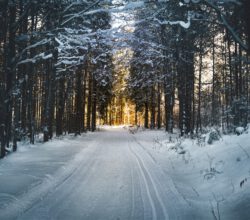 Jak bezpiecznie jeździć zimą po śliskiej nawierzchni